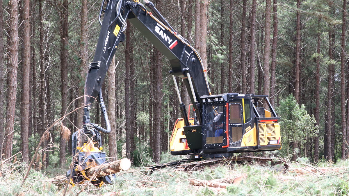 mercado- industria – florestal- inte – foto 1.jpeg