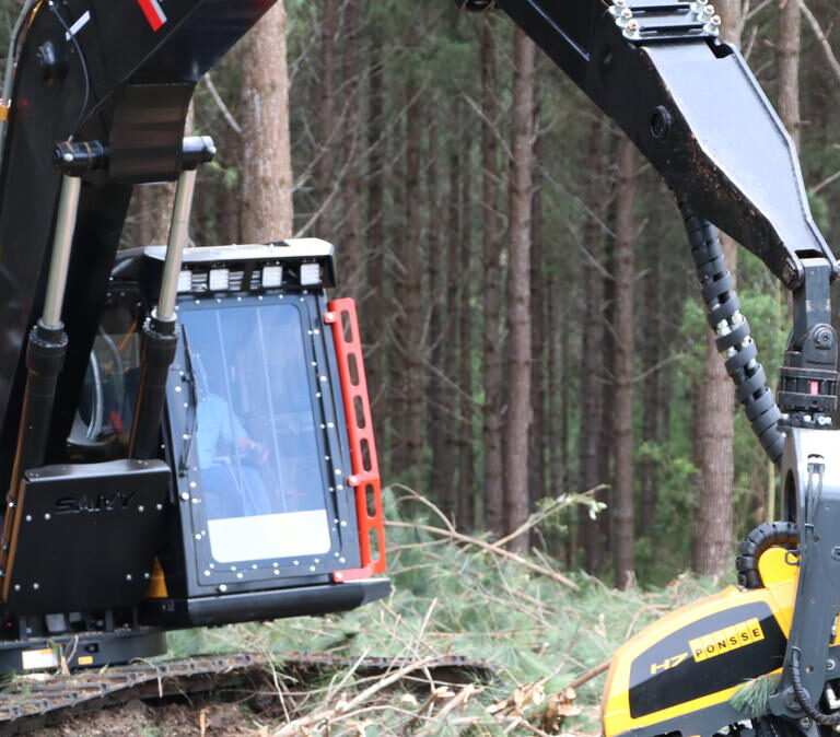 mercado- industria – florestal- inte – foto2.jpeg