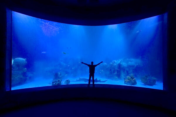 Aquários Públicos e Residenciais