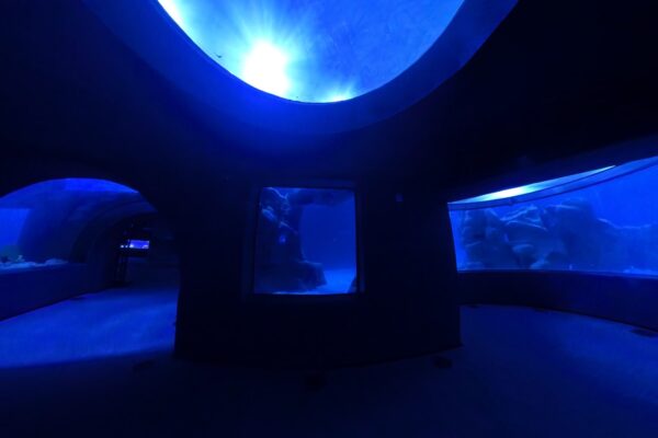 Túneis e Passarelas Subaquáticas